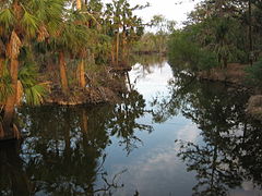 Bayou de la métairie