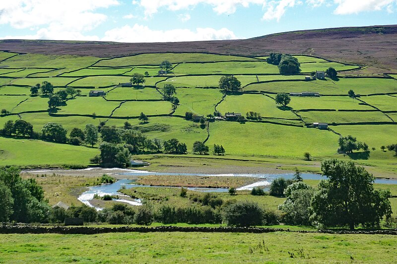 File:Green pasture land, Yorkshire Dales, UK.jpg