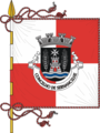 Bandeira de Sernancelhe