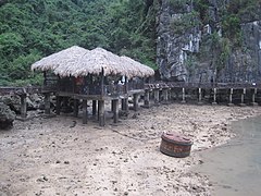 Plage et paillotes.