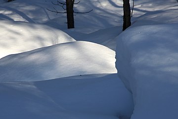 Nature of Inari