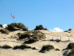 Dunes.