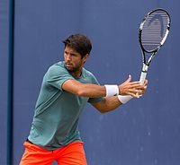 Verdasco 2015-ben