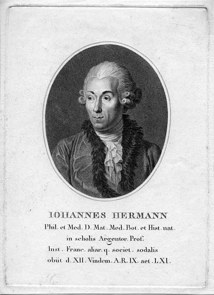 File:Ioannes Hermann.jpg