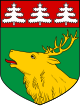 Jõhvi – Stemma