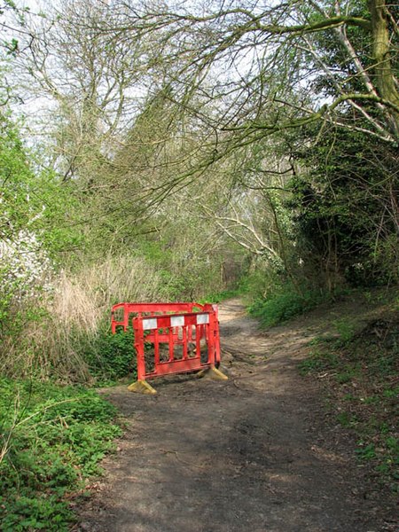 File:Erosion on path - geograph.org.uk - 1253971.jpg