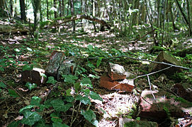 Des briques cassées dans la verdure.