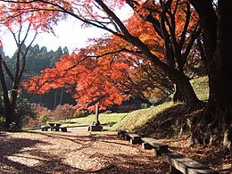 Prefettura di Tochigi – Veduta