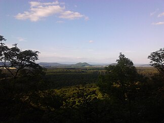 Blick vom Bocksbühl über den Reinhäuser Wald