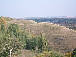 Bolshoï Gornalskoïe gorodich (ru)