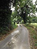 Thumbnail for File:Old Lane, Kerdiston - geograph.org.uk - 5173456.jpg