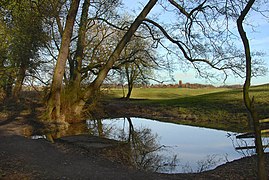 A Wide Pool on Forge Brook - geograph.org.uk - 2263634.jpg