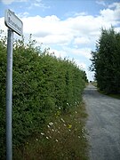 Chaussée Brunehaut. Rue Brunehaut à Donstiennes, commune de Thuin.