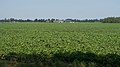 Entre Meppen et Nieuw Balinge, la ferme.