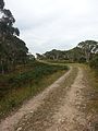 Track approaching the summit of Mount Bindo.