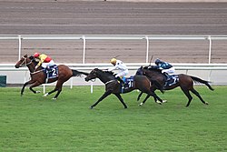 HKIR 20221211 Hong Kong Mile (racing)