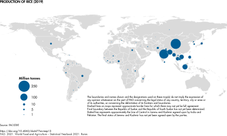 Production of rice (2021)[35]