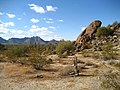 Image 1The Sonoran Desert 35 miles (56 km) west of Maricopa, Arizona (from Geography of Arizona)