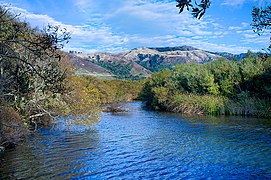 Andrew Molera State Park