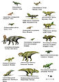 Image 27Species of Ceratopsia dinosaurs