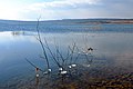 Jezero Medard v únoru 2018