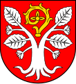 Landgemeinde Radwanice (Wiesau)