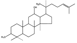 Общая формула веществ на основе протопанаксадиола. R1 — углевод, R2 — Н или углеводы.