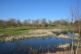 Schleswig-Holstein, Rantrum, Naturerlebnisraum NIK 4958.jpg