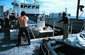 Alvin (DSV-2) aboard support ship Lulu 1971.jpg