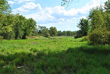 Wetland lying in a former Chippewa River channel, in the southwest corner of the site