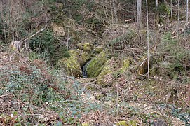 Lochau-Unterer Riesgraben bei Schusterplatz-01ASD.jpg