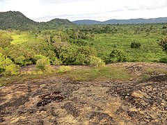 Polonnaruwa, Sri Lanka - panoramio (18).jpg