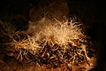 Ochtiná Aragonite Cave, Slovenské rudohorie Mountains