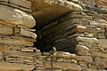 * Nomination Chaco Ruins Window Detail, Chaco Culture National Historic Park, NM --Steven C. Price 20:20, 3 May 2017 (UTC) * Decline Insufficient quality. DoF too shallow. Even if the lizard is not the main motif, it is central and all of it should be sharp foa a QI, the DoF should preferably exted to the whole opening at least. Since your photos don't have any EXIF data it is hard to see what was really going on. It would be better if you could include that data somehow. The pic is also cropped to tight at the top, the whole opening should be in the photo.--W.carter 21:09, 3 May 2017 (UTC)