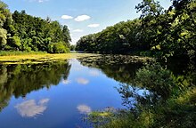 Псел в районі с. Токарі