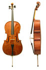 Violoncel