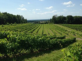 Image illustrative de l’article Route des vins (Québec)