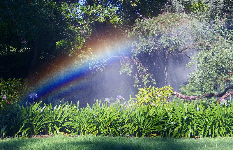 File:Sprinkler Supernumerary Rainbows.jpg