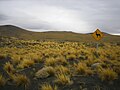 Cartel que alerta por la presencia de guanacos en la reserva