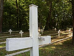 Military cemetery from World War I and World War II in Dąbrowa Tarnawacka near Tarnawatka (3).jpg