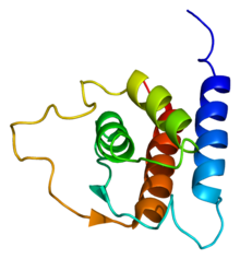 Protein IL13 PDB 1ga3.png