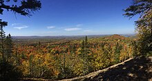 Autumn forest view.