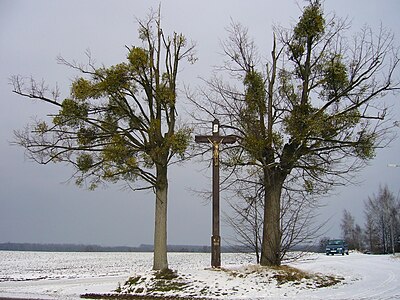 Crucifix à Raškovice.