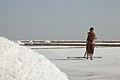 Salt worker in Rann of Kutch, India