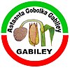 Sigiliul autorităților din Gabiley