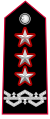 Distintivo per controspallina di generale di corpo d'armata vicecomandante generale dell'Arma dei Carabinieri