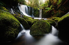 Mount Field National Park Tasmania