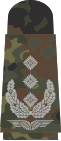 Oberst (Flecktarn)