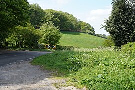 Looking across the A517 - geograph.org.uk - 6153895.jpg