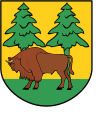 Wappen des Powiat Hajnowski